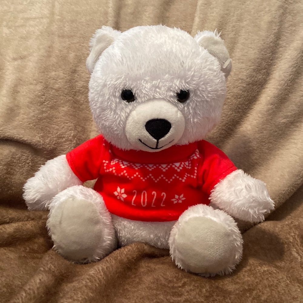 ⚡️NWOT teddy bear!
